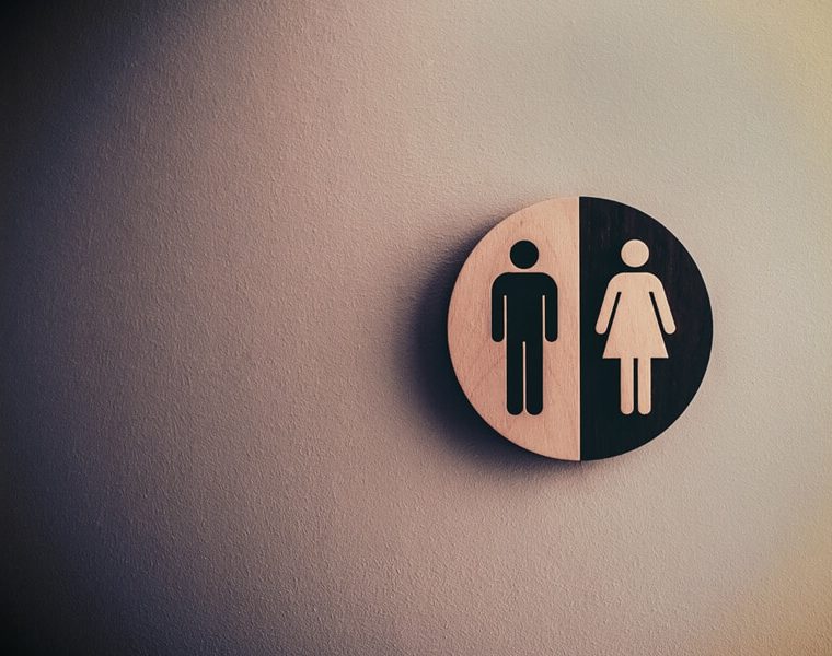 Gender-discussion-o-diaries